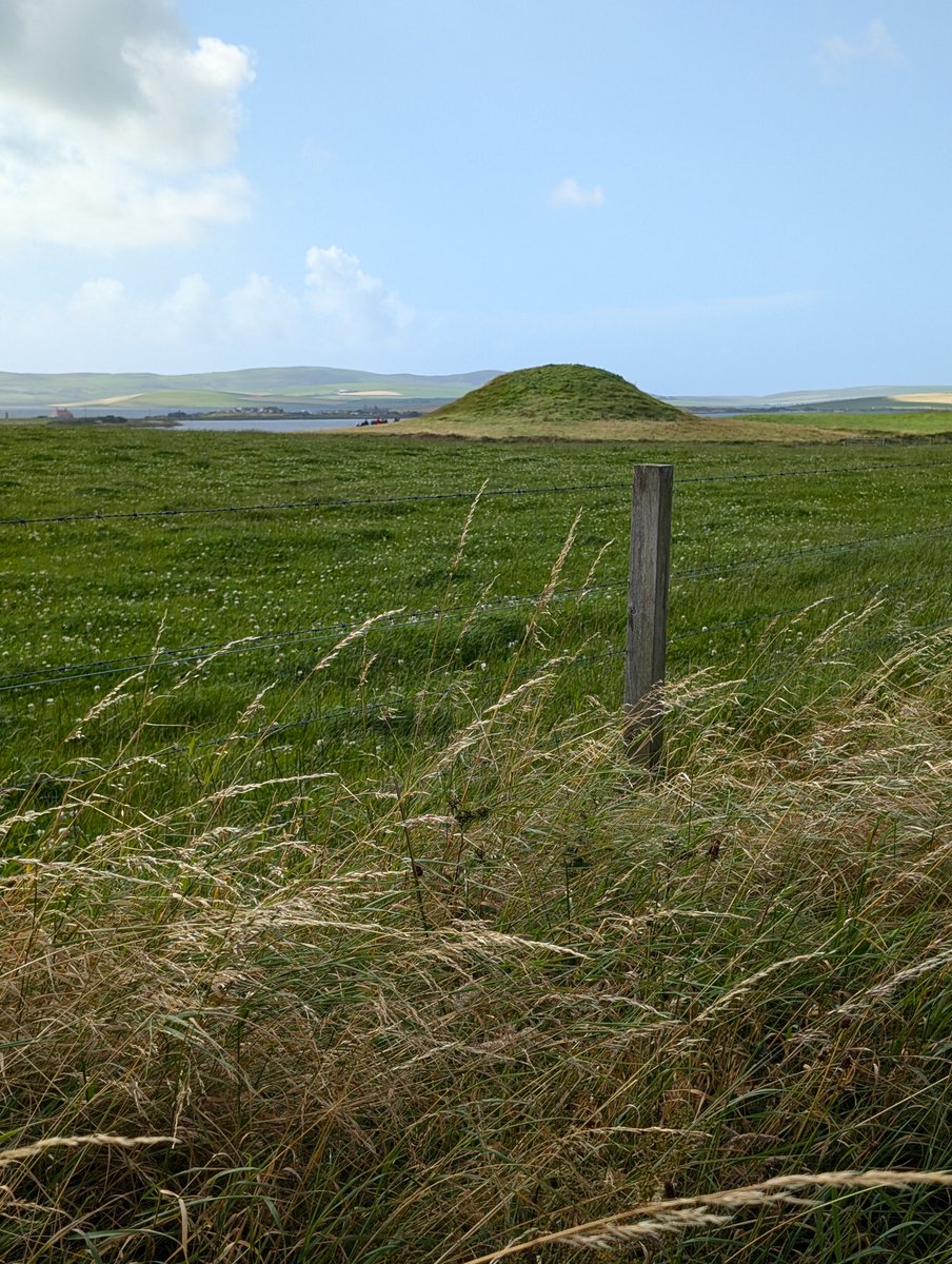 Stone Me tweet media