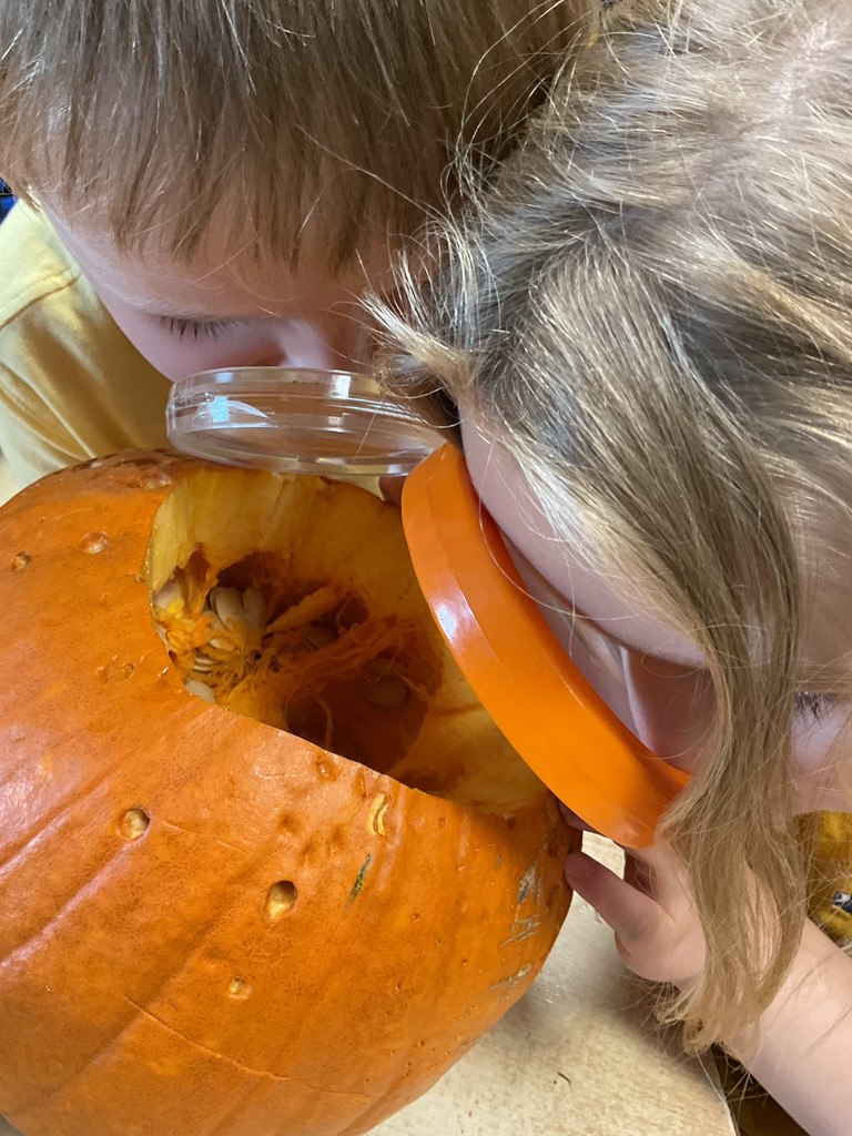 EYFS St Margarets Horsforth (@eyfsstmargaret1) on Twitter photo We then decided to cut the top off the pumpkin and have a look inside. This created a lot of awe and wonder..."I wonder what will be inside" ! We used the magnifying glasses to get a closer look 🔍 <a href="/HelenCooperbook/">Helen Cooper</a> #eyfs #eyfsprovision #outdoorlearning #aweandwonder We then decided to cut the top off the pumpkin and have a look inside. This created a lot of awe and wonder..."I wonder what will be inside" ! We used the magnifying glasses to get a closer look 🔍 <a href="/HelenCooperbook/">Helen Cooper</a> #eyfs #eyfsprovision #outdoorlearning #aweandwonder