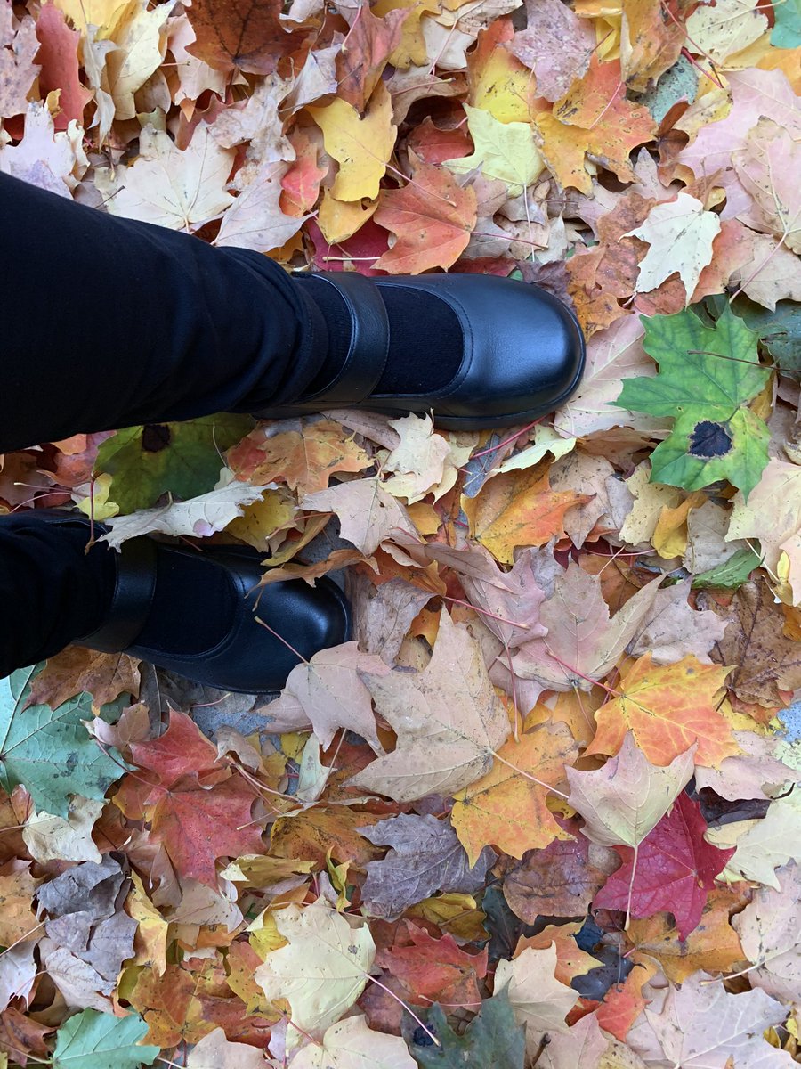 UWLowVision's tweet photo. Life holds many challenges that take our focus. May Thanksgiving give us a chance to pause &amp; give thanks for the good that is also around us. #ThanksgivingWeekend https://t.co/msYRw2vy4w