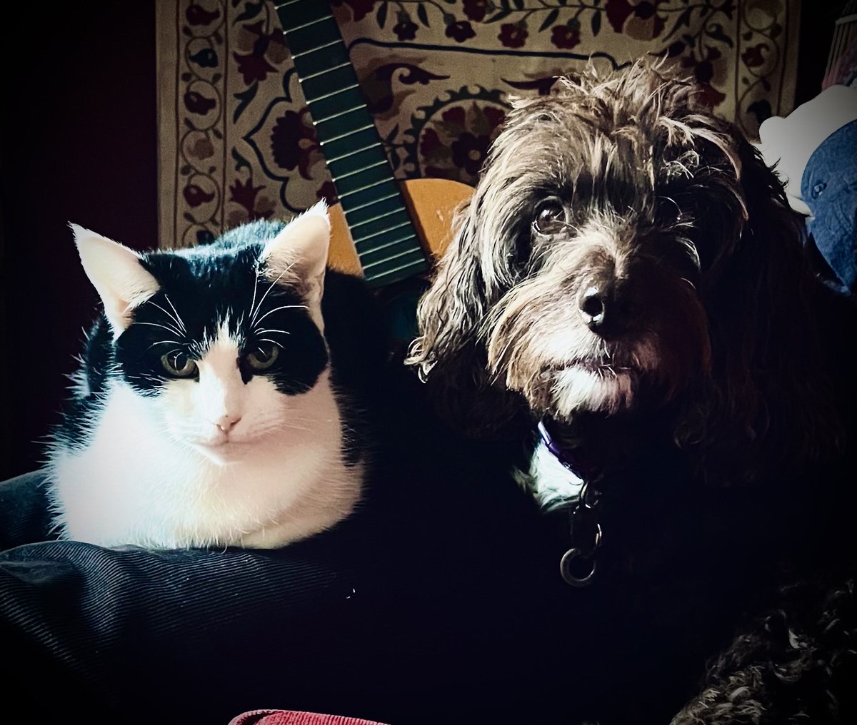 Catherine Russell tweet media