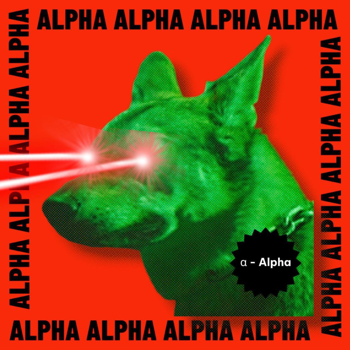 Alpha CTO tweet media