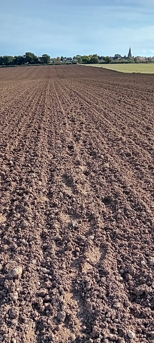 AlisonPailing's tweet photo. You don't need a gym workout when you've got to walk across a newly ploughed field.
#OutdoorExercise #VitaminN https://t.co/ydhT7GKG71