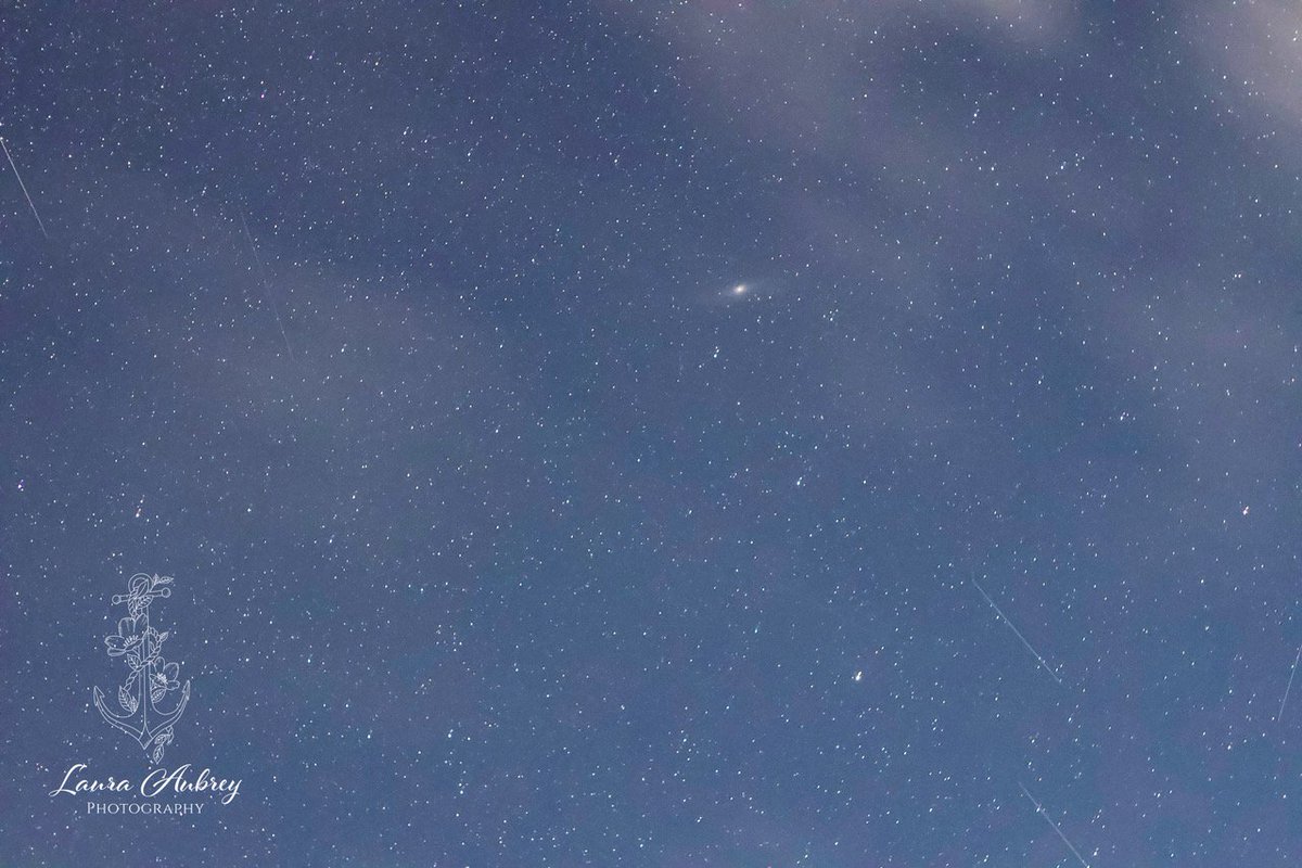 laura_aphoto's tweet photo. M31 Andromeda galaxy 🌌 , satellites, stars and clouds 
50mm ISO6400 f2.8 8sec 
#m31 #andromeda #galaxy #astrophotography #nightsky #starlover #fallinlove #canoneosr #satellites #clouds #stars #astronamy #skyatnight #lookup #50mm #nature #beauty #skylovers #stargazing https://t.co/ipG01F4bvI