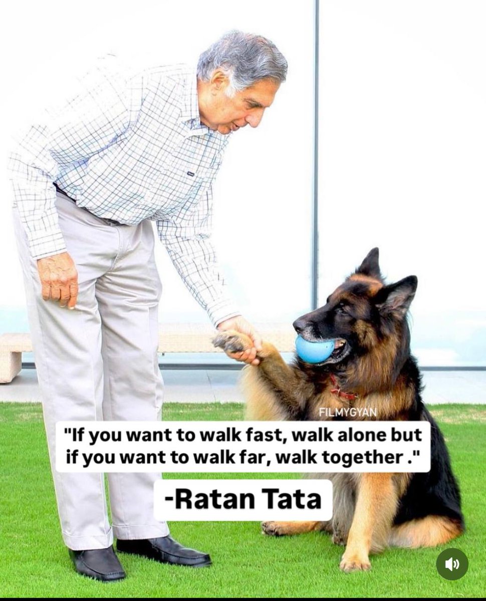 PLUTUS .DEV tweet media