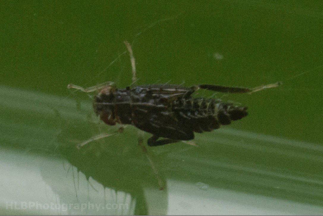 Hannah Baker tweet media