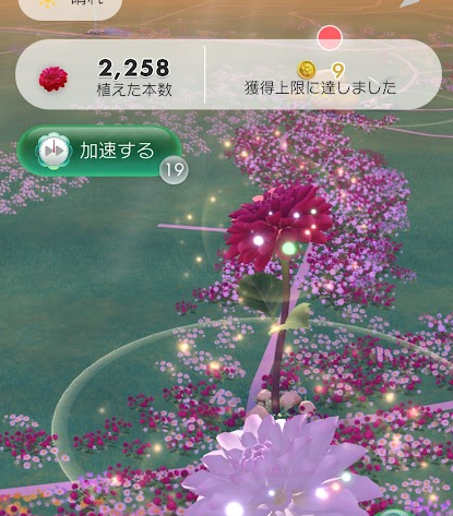 昨日クリアはしていたのですが、ちょっといろいろ立て込んでいた報告が遅くりましたした。結構いろいろな所を歩いてコインの獲得上限に達するという経験も。さすがに疲れた。