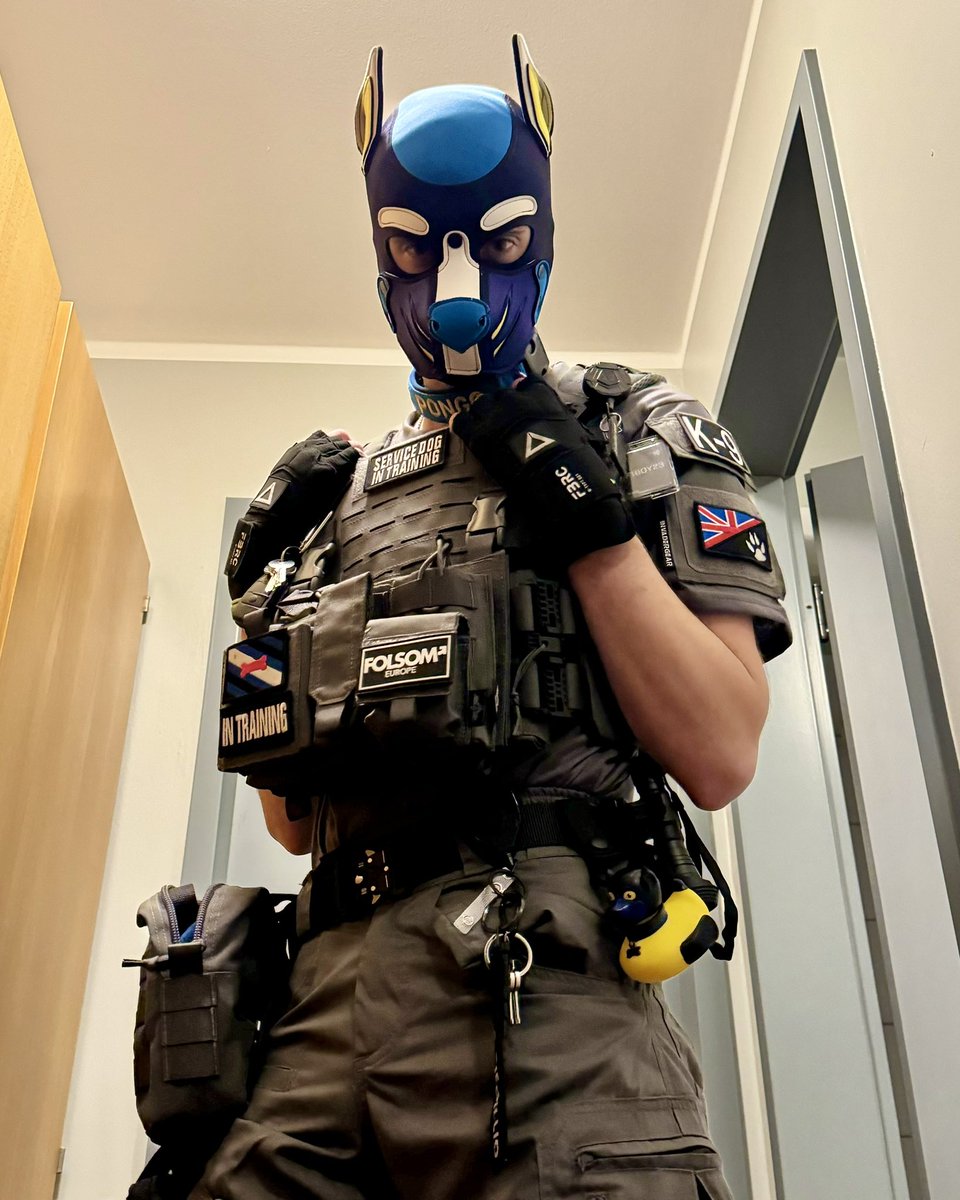 Service dog now in training - How may I be of assistance. Next chapter for this doggo now seen in tactical 🐶⛓️