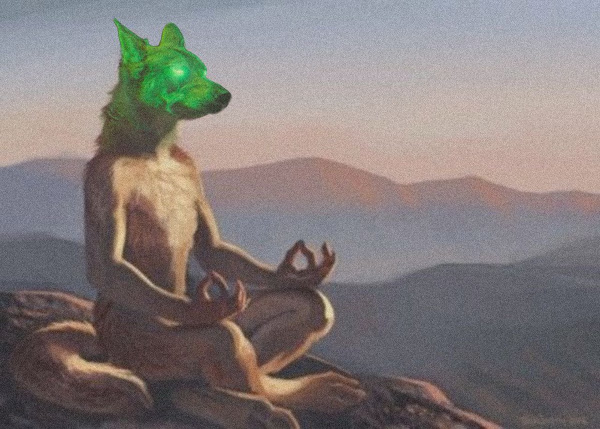 Alpha CTO tweet media