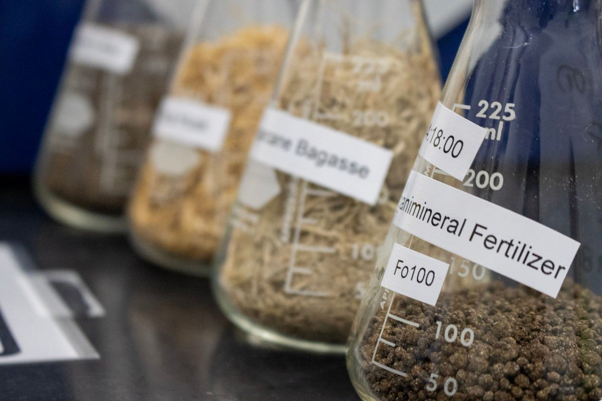 IFDCGlobal's tweet image. This #GlobalFertilizerDay, we are highlighting the importance of utilizing safe #Fertilizers for specific regions.

For 50 years, IFDC has #Researched and tested fertilizer #Technologies to meet the diverse needs of #Soils around the #World!

Learn more: buff.ly/3ZTIoeE