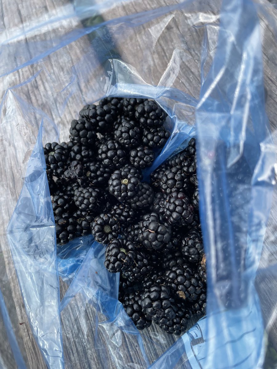 Ian McMillan tweet media