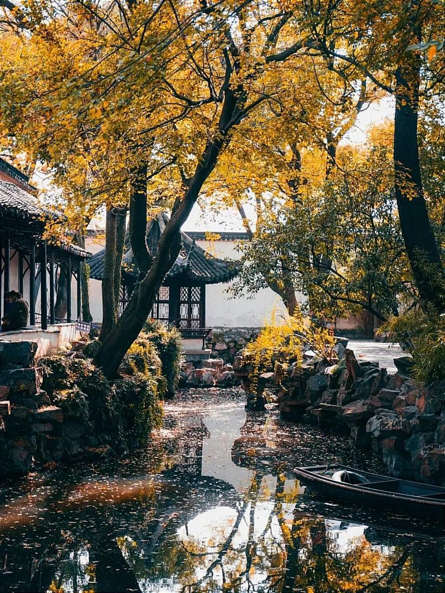 zhouyan20009's tweet photo. 江苏 苏州

秋日的拙政园，一幅金黄色的诗意画。姑苏城的秋，包罗万象。 https://t.co/3PTwE15DEd