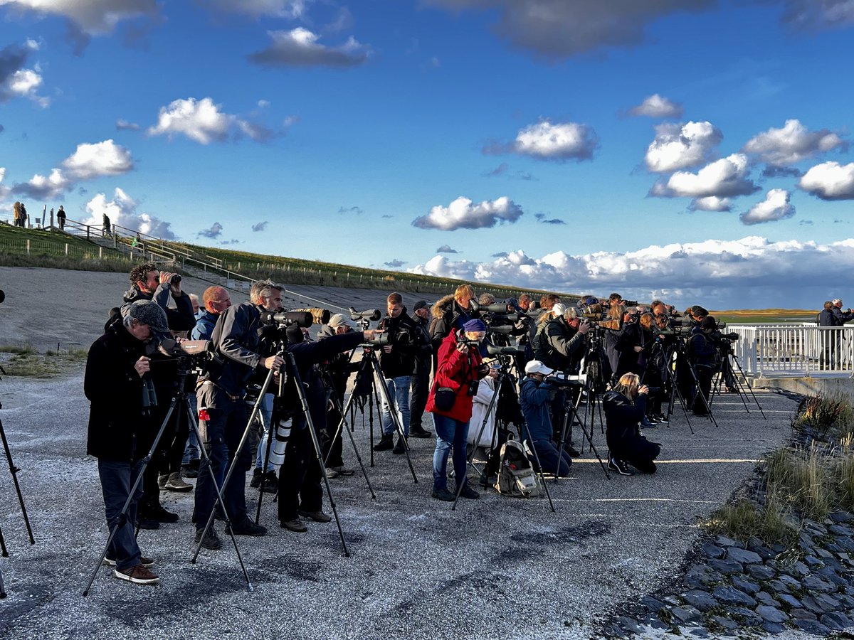 In 2025 wordt de 40e editie van het Dutch Birding Vogelweekend georganiseerd. Noteer de datum in je agenda en reserveer alvast je accomodatie: 17-20 oktober. Zie ook dutchbirding.nl of vogelinformatiecentrum.nl/blog/dutch-bir…