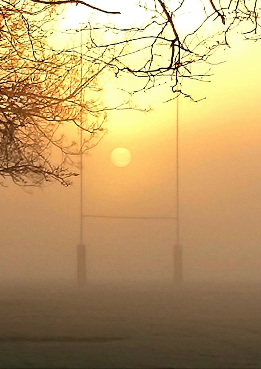 hullsaddler's tweet photo. Have used this before but it's 
#WeekOforOrange in #AlphabetChallenge so why not?

Hymers playing fields #Hull https://t.co/Ix566f4GE9