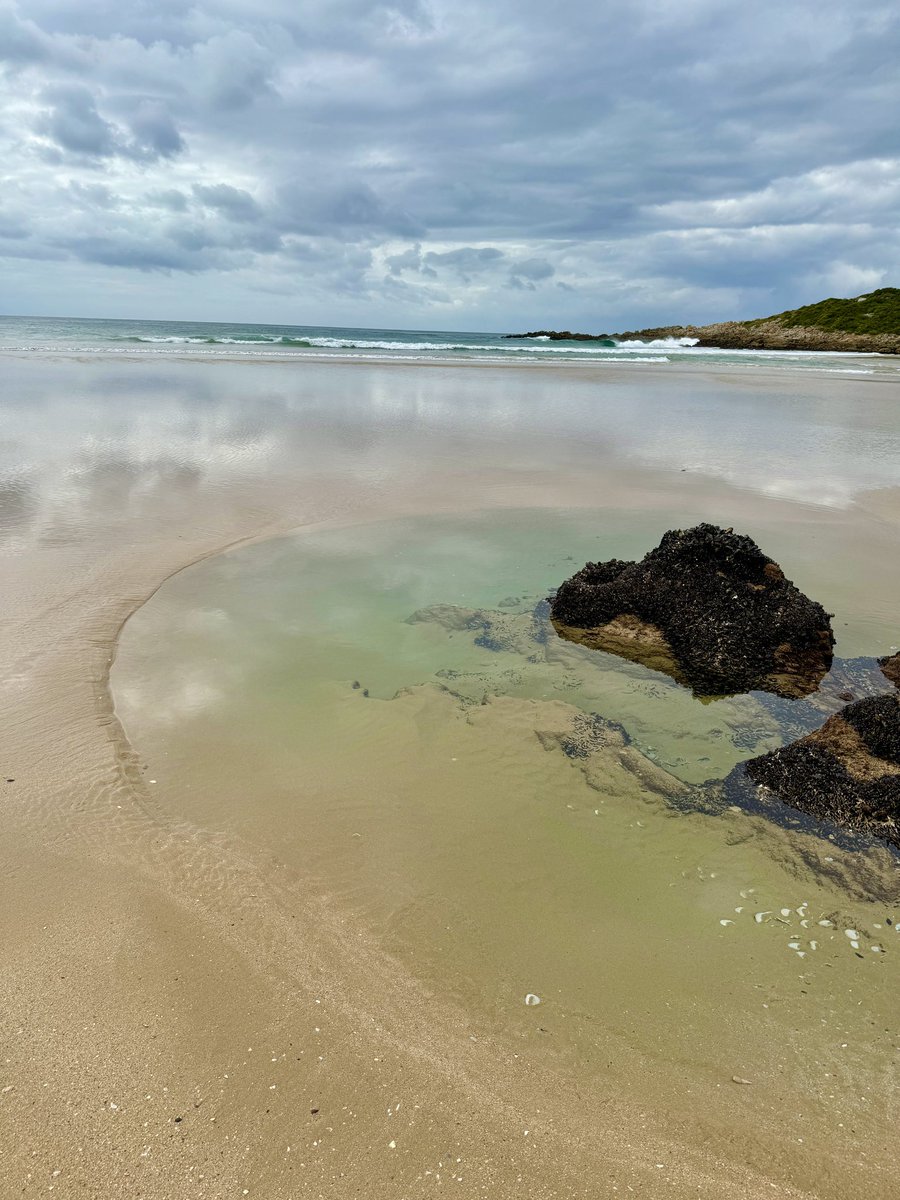 Plettenberg Bay Is Awesome (@plettisawesome) on Twitter photo 