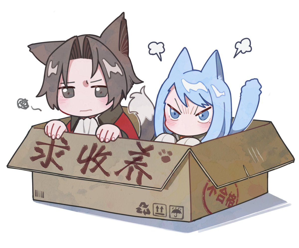 検1-4調査に失敗し、追い出されたミツメイねこ