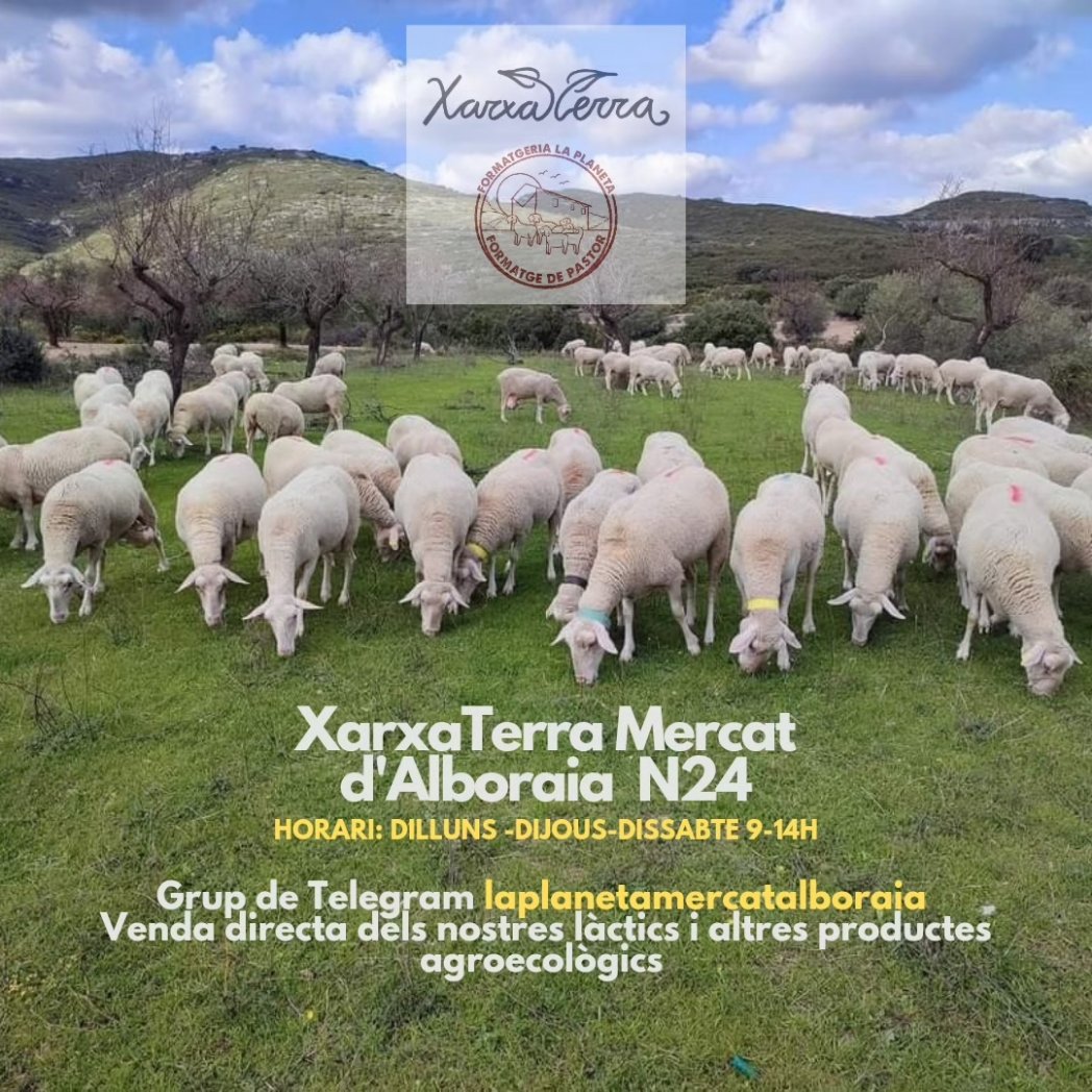 🧺3 punts de venda directa!🥳🧀

1✔️ Pròpia Formatgeria

2✔️ Novoprix-punt de recollida a través del grup de Telegram 𝗹𝗮𝗽𝗹𝗮𝗻𝗲𝘁𝗮𝗰𝗮𝘀𝘁𝗲𝗹𝗹𝗼

3✔️ XarxaTerra-Mercat d'Alboraia N24
Grup de Telegram 𝗹𝗮𝗽𝗹𝗮𝗻𝗲𝘁𝗮𝗺𝗲𝗿𝗰𝗮𝘁𝗮𝗹𝗯𝗼𝗿𝗮𝗶𝗮
#comanda #salud #slowfood