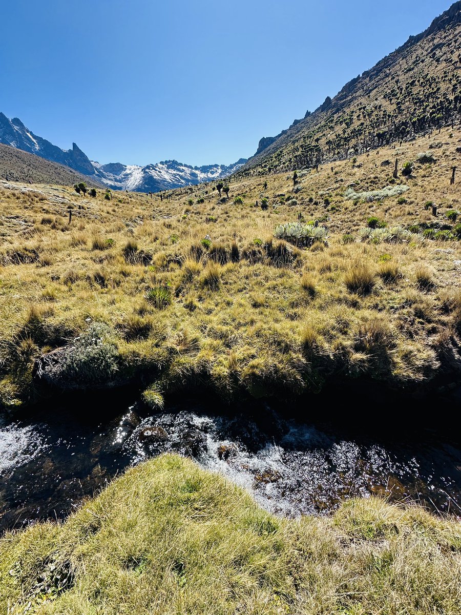 mansaplus's tweet photo. The beauty of the mountains from different angles! The weather was favorable giving us beautiful sceneries all round π #mtkenya #daydash #hike https://t.co/DJeNqCmGD0