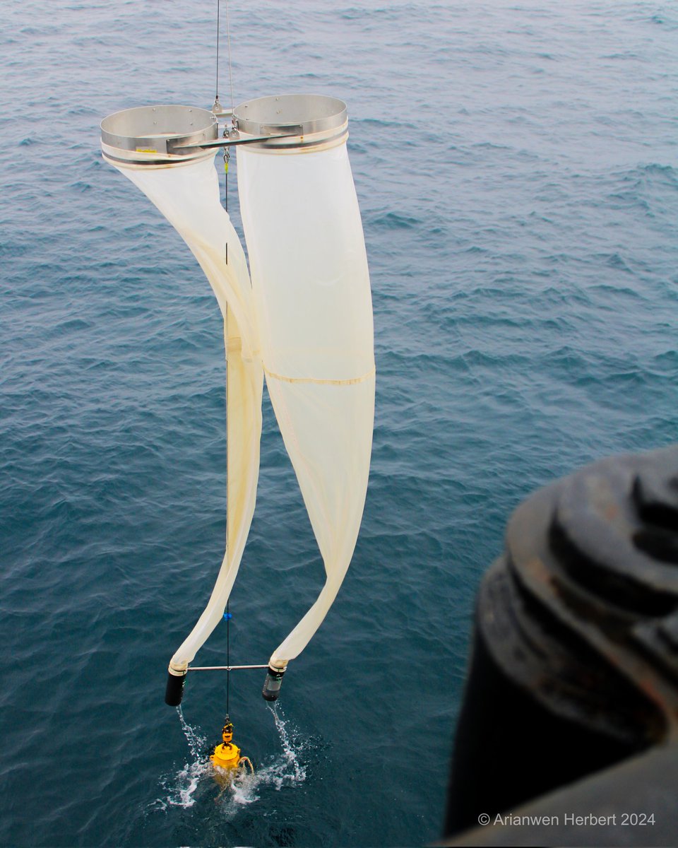arianwenherbert's tweet photo. 'Bongos at midday and midnight' - not, it turns out, a strange oceanographic ritual 🪘 these nets descend hundreds of metres into the ocean and dredge up zooplanktonic delights 🦐 to help us understand their importance in the global carbon cycle 🌎 #JC269 @biocarbon_nerc https://t.co/L65d48EH9G