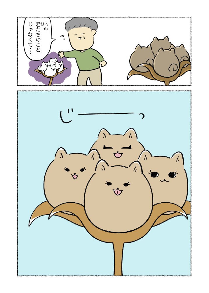 にゃち (@nyatipeco) / Posts / X