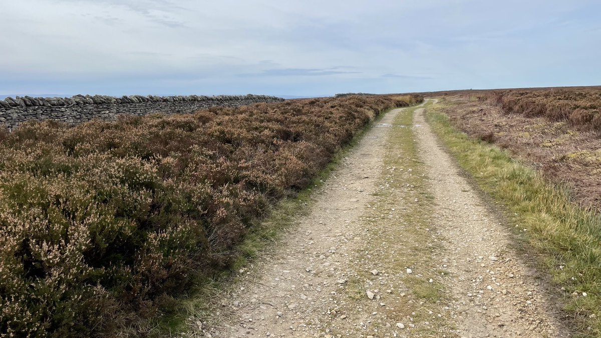 A still Sunday morning on the #NorthYorkMoors - walking ‘BlackHambleton’ from/to #Snilesworth circular, with some #Yorkshire’s finest countryside 😎👍