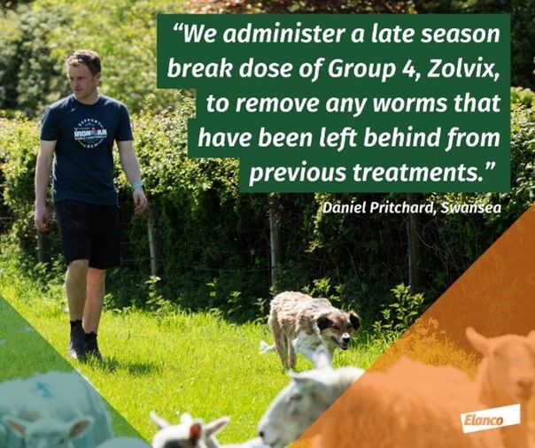 Wynnstay (@wynnstayagri) on Twitter photo Depending on the weather and worm burden, late summer and autumn is the right time to use Zolvix as a 'break dose' as part of your worming regime.
Why? Find out more here: bit.ly/4f18HVt
<a href="/ElancoLivestock/">Elanco UK Livestock</a> Depending on the weather and worm burden, late summer and autumn is the right time to use Zolvix as a 'break dose' as part of your worming regime.
Why? Find out more here: bit.ly/4f18HVt
<a href="/ElancoLivestock/">Elanco UK Livestock</a>