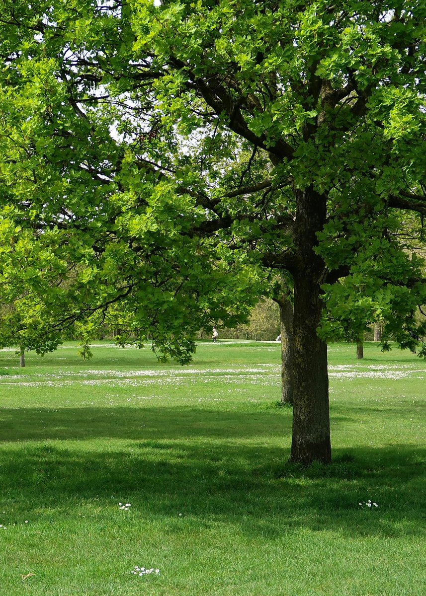 Baba086's tweet image. For this kind of day, having a beautiful time while going through a comfortable day,🎑🎑🎑