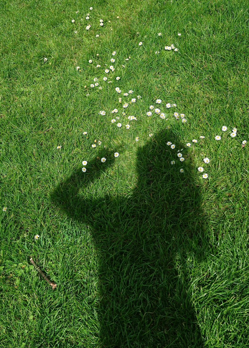 Baba086's tweet image. For this kind of day, having a beautiful time while going through a comfortable day,🎑🎑🎑