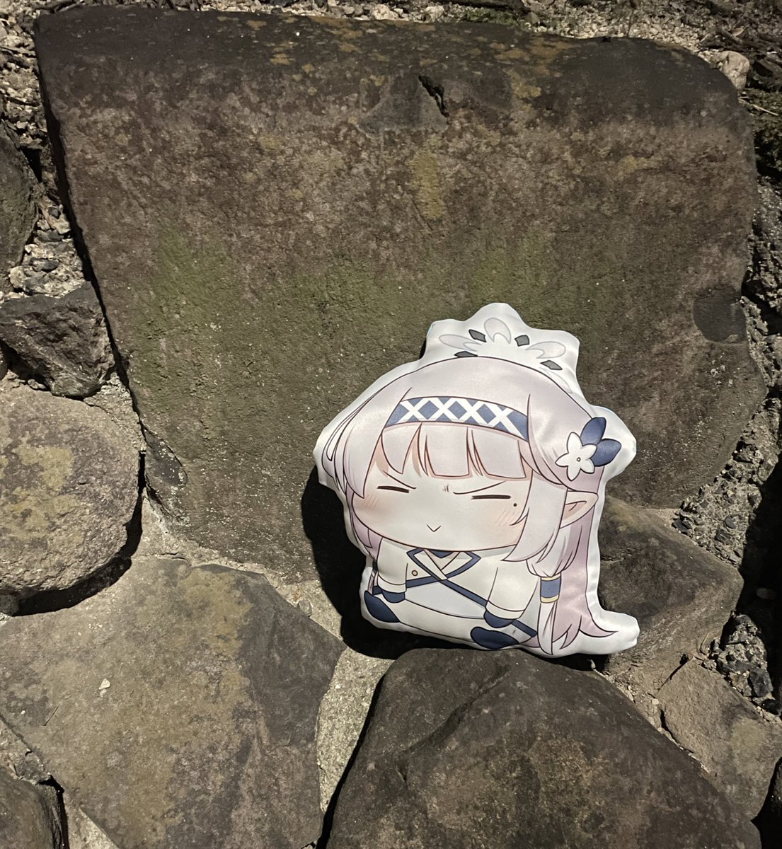 崖の上のドヤヒマリ 