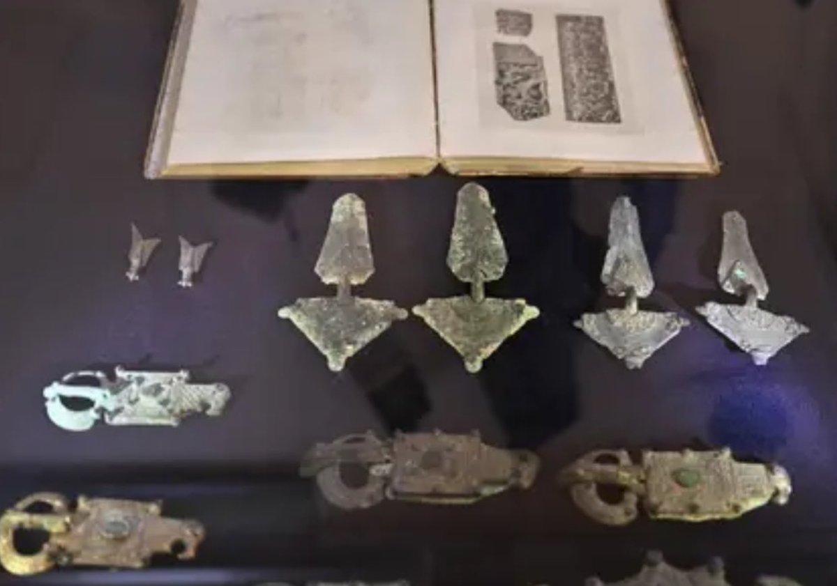 Гюндуз Мамедов/Gyunduz Mamedov tweet media