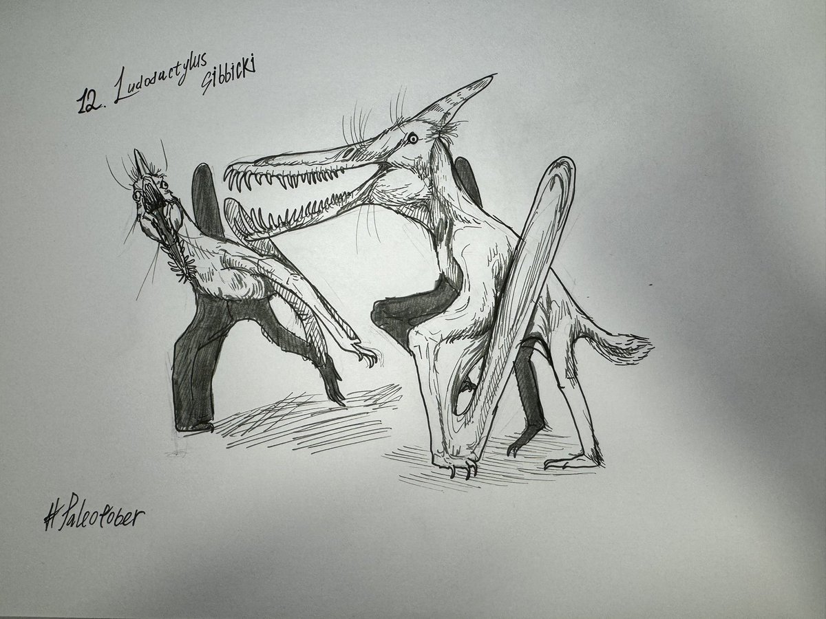 Mr.LeCroc tweet media