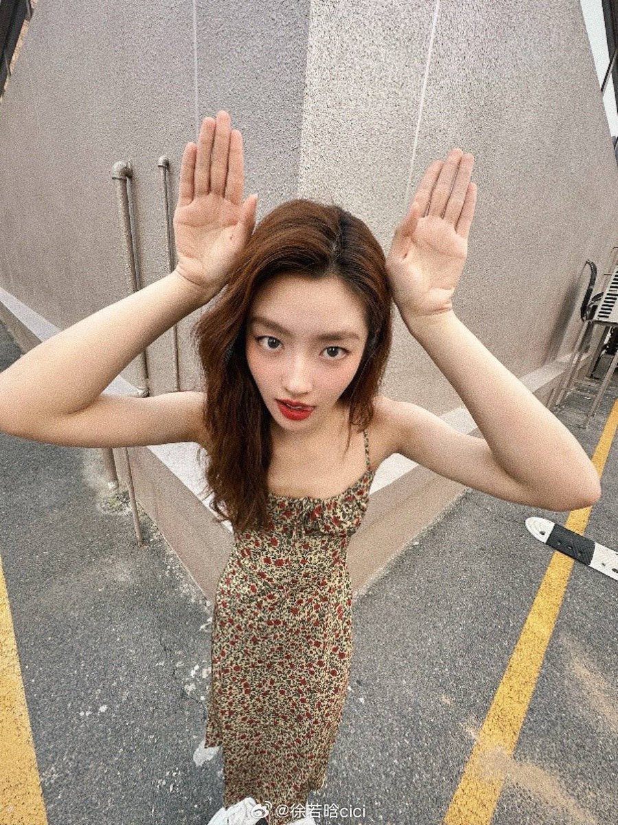 xu ruohan 徐若晗 archive tweet media