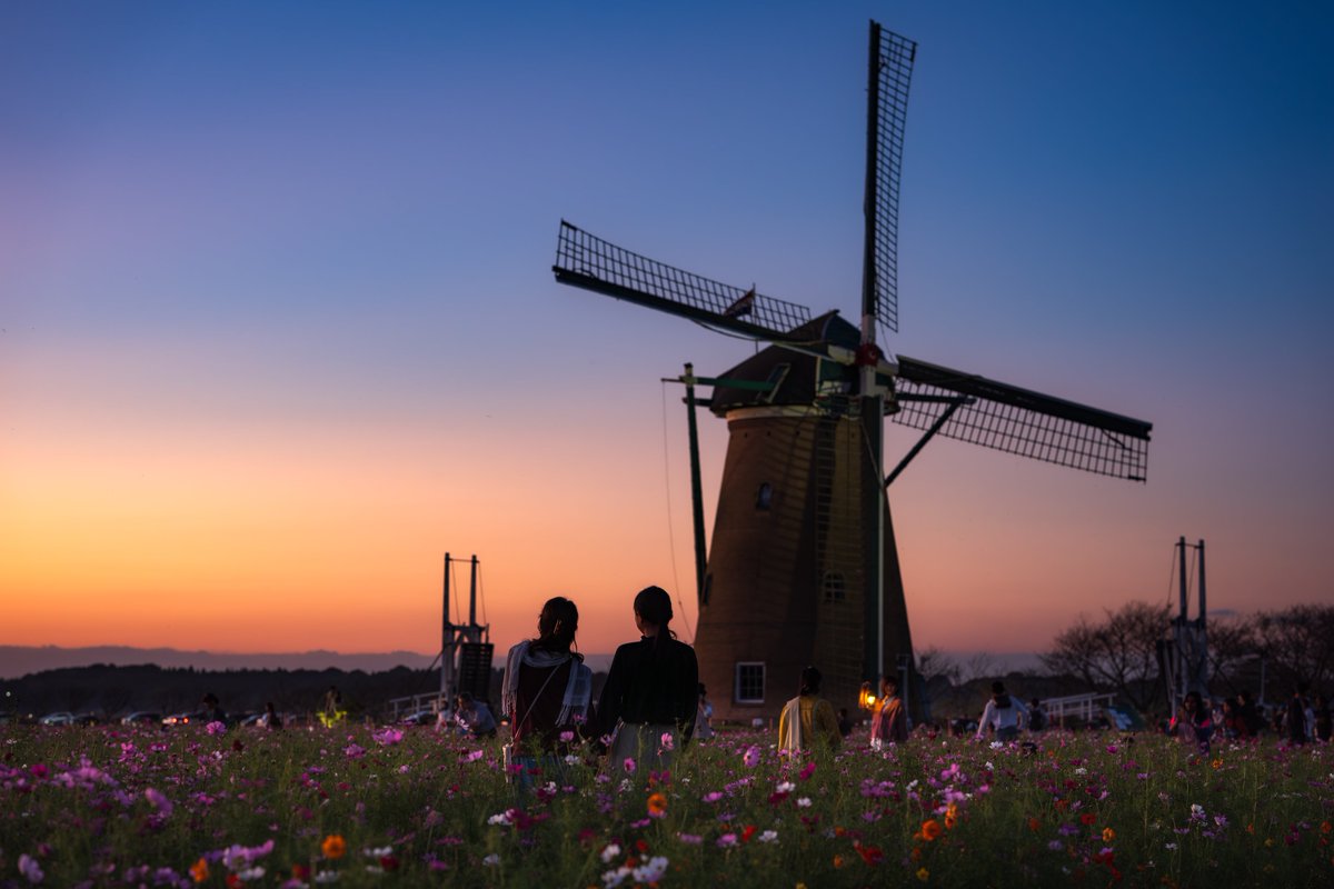 みかん(S) tweet media