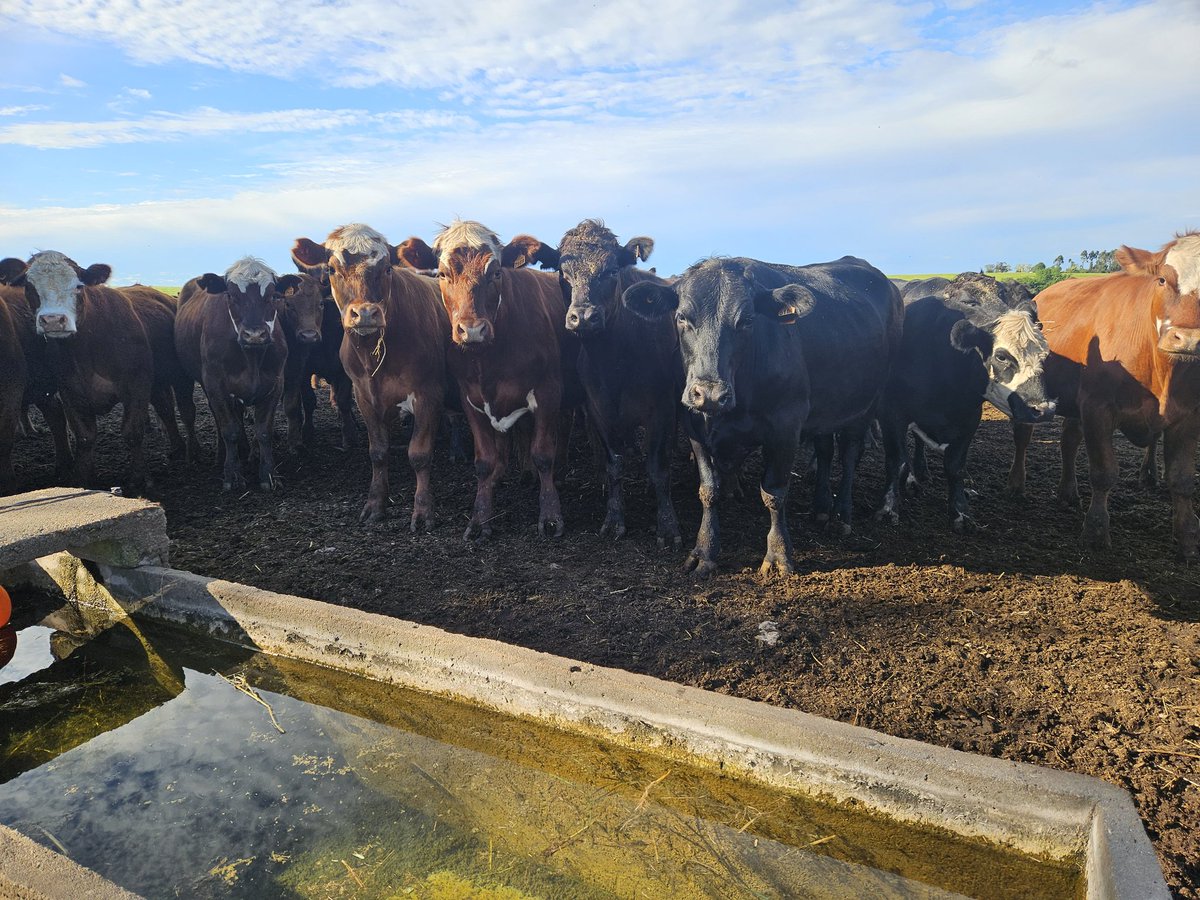 Seba Purtscher tweet media