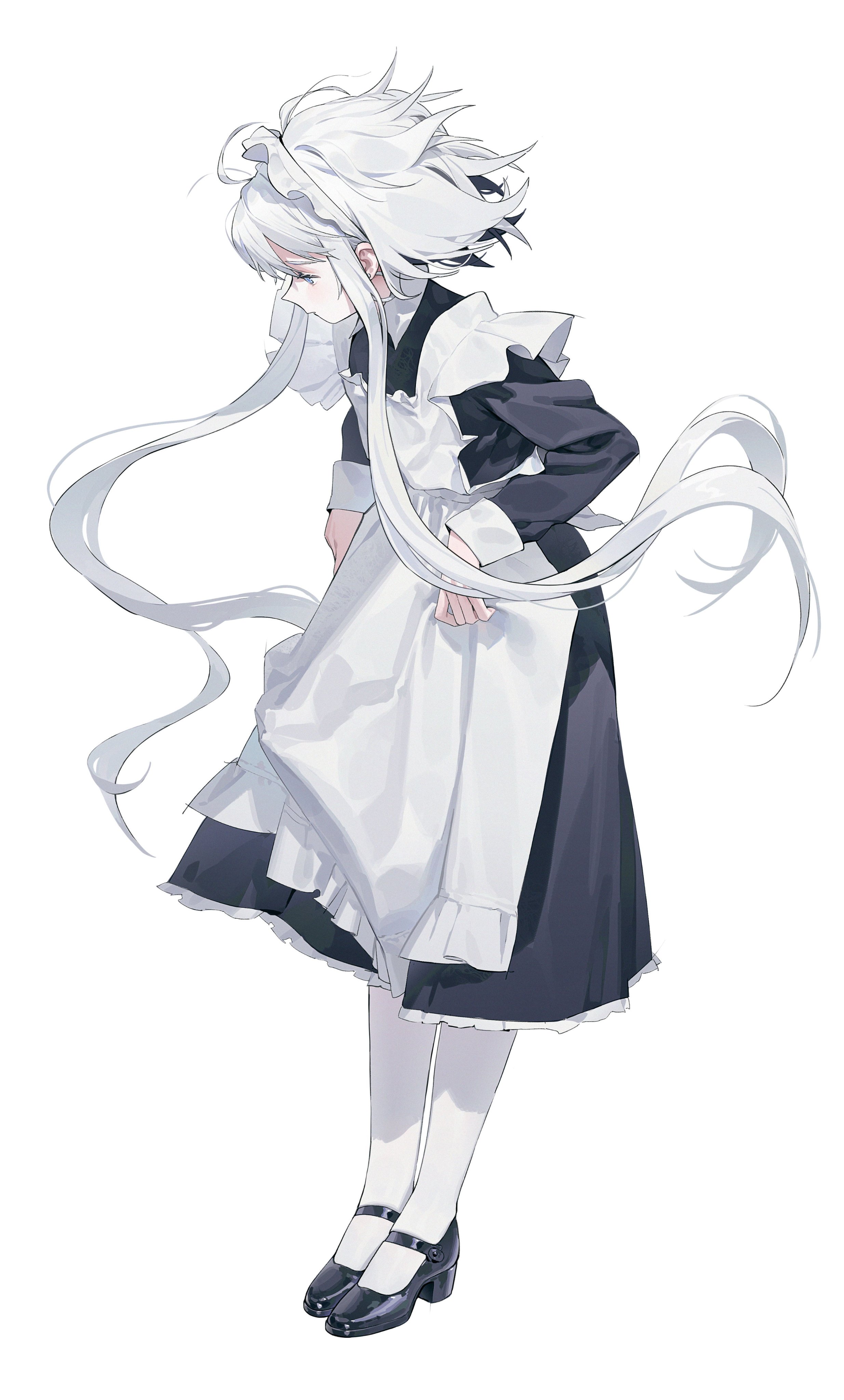 ビカクシダ☆イザナミ☆Izanami☆伊弉冉☆OC☆板付 ビカクシダ