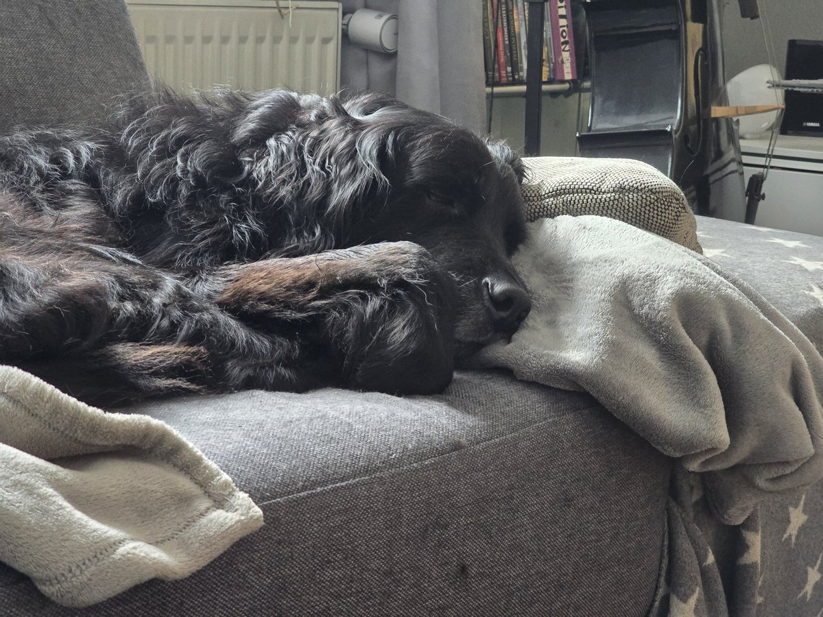 Der #Hund hat #Sonntag!

In diesem Sinne: 
schönen Sonntag Euch allen und gammelt doch einfach ein wenig (wenn ihr es könnt).

#Wochenende #Herbst #relax #warmundwohlig #Herbstwetter #Dortmund