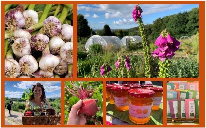 Growing Newsome Autumn Event. Local food, autumn planting veg, refreshments &amp; a hot lunch. All welcome. 

📅Sat 26 Oct
⏰10am-1pm
📍Newsome Scout Hall

Info 👉 newsomegrapevine.org.uk/2024/10/13/gro…