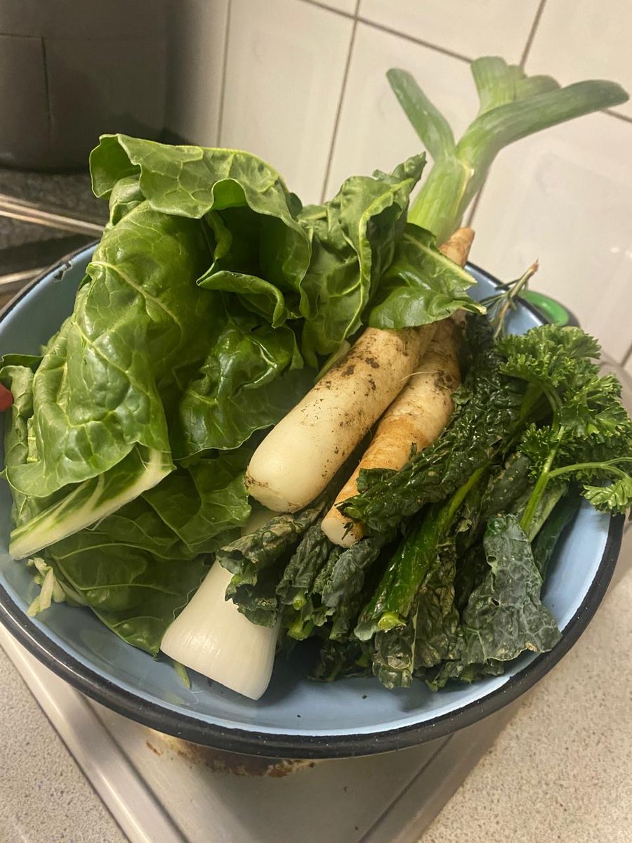 Nedine Moonsamy (@nedinemoonsamy) on Twitter photo Shout out to Carlyn and <a href="/MandisiNkomo/">TheDarkCow</a> for organising this great event yesterday. It was a privilege to read new work in in such a beautiful setting and to go home with freshly harvested veggies 🌾💛 Shout out to Carlyn and <a href="/MandisiNkomo/">TheDarkCow</a> for organising this great event yesterday. It was a privilege to read new work in in such a beautiful setting and to go home with freshly harvested veggies 🌾💛