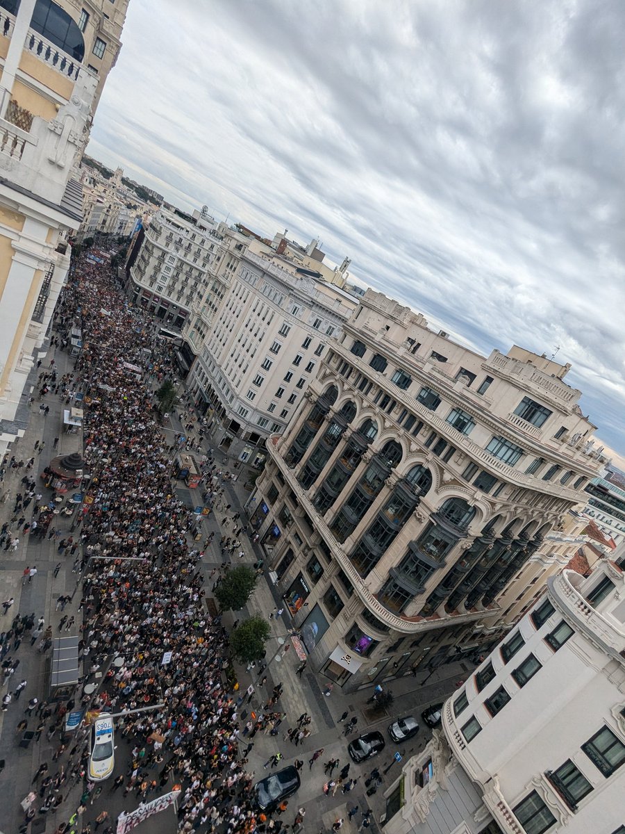 Javier Gallego Crudo tweet media