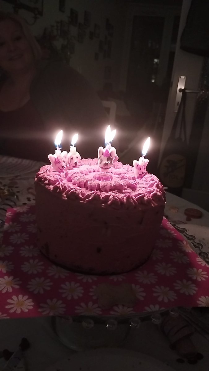 3kids2dogs1life's tweet photo. It was our #frenchbully's #birthday yesterday. She is 9 now. And she has a bad #cancer.
Please, help us with a little #donation if you can. Thank you! ❤🐕❤🥳🎂

https://t.co/SkiX95EhrS https://t.co/B1G2akFris