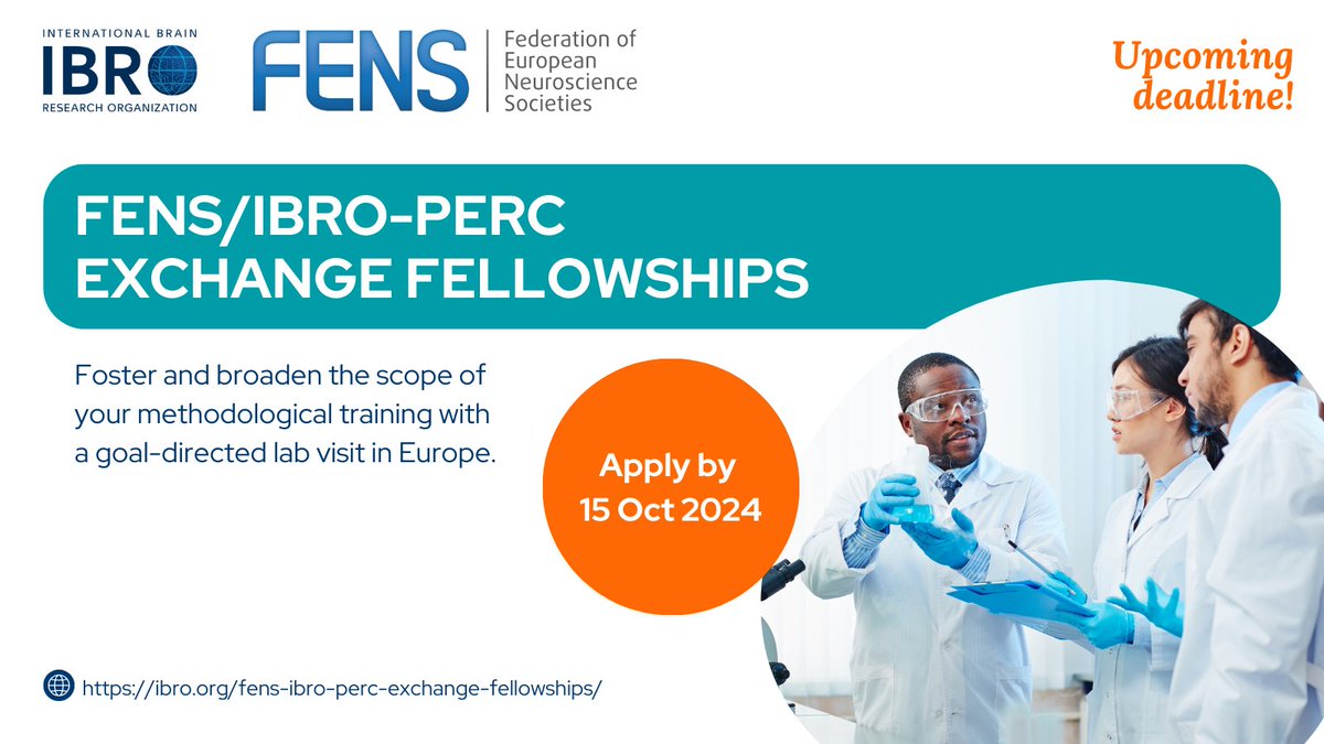 UPCOMING DEADLINE to apply for #funding to support a short #internship in a #neuroscience lab! 🧠 If you are a PhD student or postdoc based in Europe, explore the FENS/IBRO-PERC Exchange Fellowships!
🗓️ Deadline: 15 Oct
👉Apply: ibro.org/fens-ibro-perc…

<a href="/FENSorg/">FENS</a> <a href="/JLLanciego/">José Luis Lanciego</a>