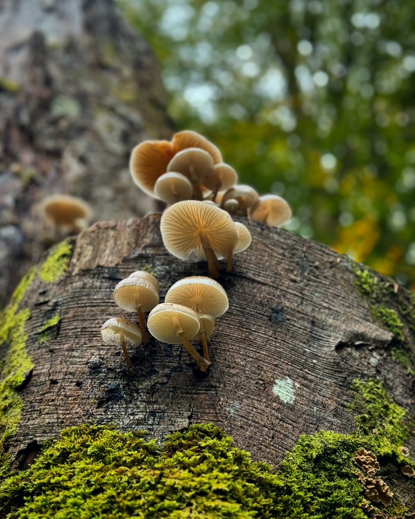 Ben La𝕏 tweet media