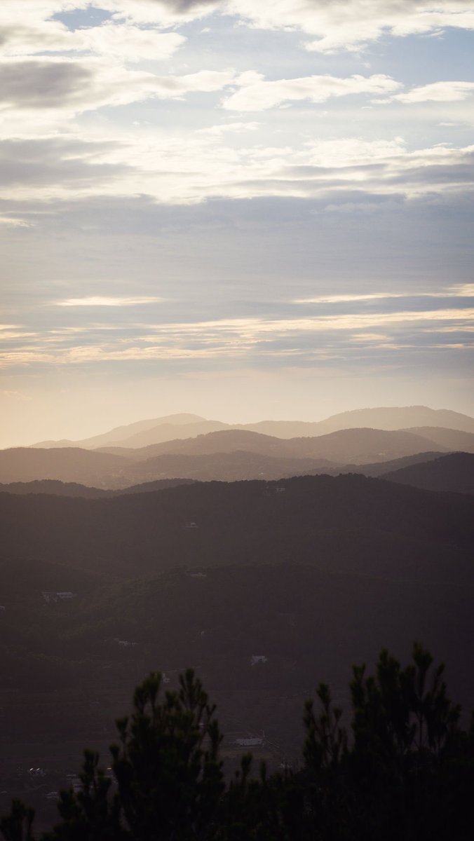 A heartfelt thank you to everyone who participated in our In Bloom creative retreat in Ibiza last week. 
Register interest for our winter edition in February 2025 with <a href="/SebMullaert/">Sebastian Mullaert</a> and Frank Wiedemann here form.typeform.com/to/P3Bn0jE8