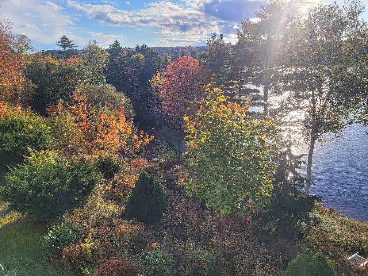 debrahillier's tweet photo. Happy Thanksgiving to all my Canadian family and friends, clients and followers from my home in Nova Scotia, Canada! https://t.co/88NeqGdLSw