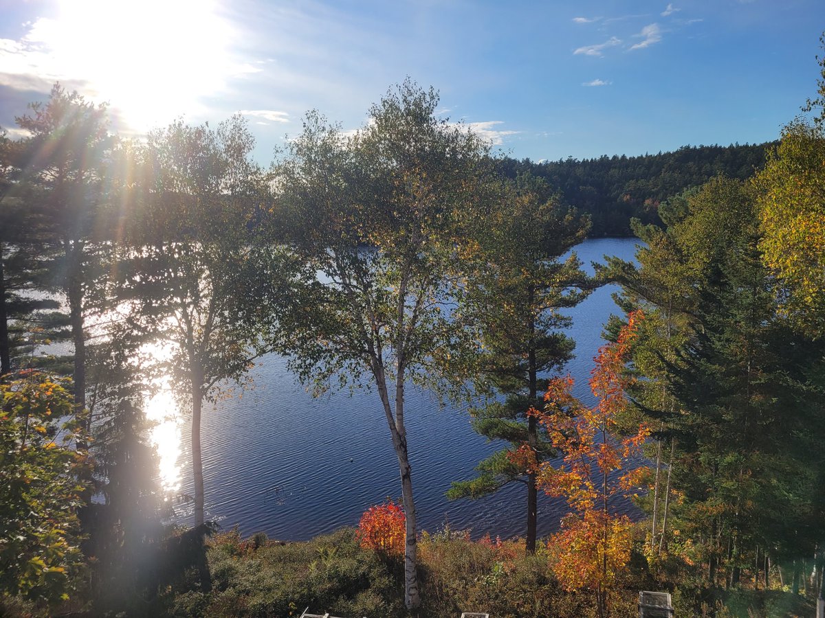 debrahillier's tweet photo. Happy Thanksgiving to all my Canadian family and friends, clients and followers from my home in Nova Scotia, Canada! https://t.co/88NeqGdLSw