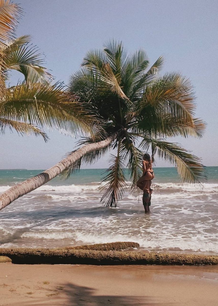 GM. 

Why are you not coming to Puerto Rico and touch some coconuts.