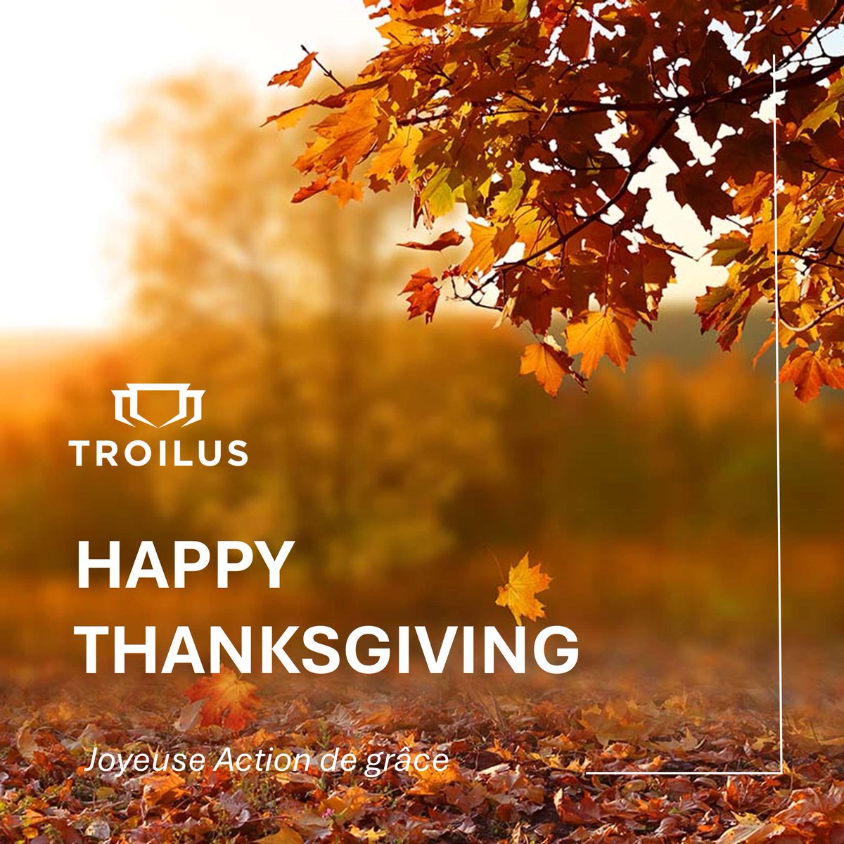 TroilusMining's tweet image. Wishing all our Canadian friends a happy and heartwarming Thanksgiving!

--------------------------------------------
Nous souhaitons à tous nos amis Canadiens un chaleureux Action de grâce!

#TroilusGold #Troilus #Canada #Thanksgiving #ActionDeGrâce