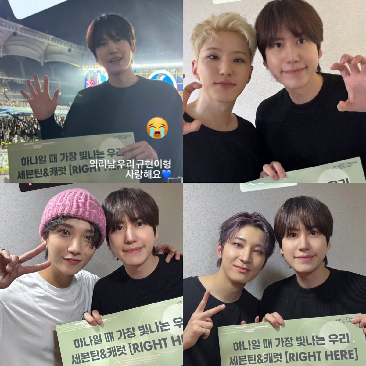 ✨ELF in CARATland || SUJU SVT 💙💕 tweet media