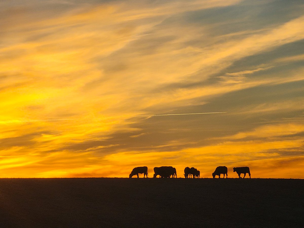 Eric Anderson tweet media