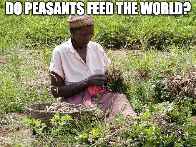 Do peasants feed the majority of people in the world? 

I explore this oft-repeated claim, in light of the criticism made by Hannah Ritchie (Our World in Data).

🔗👇