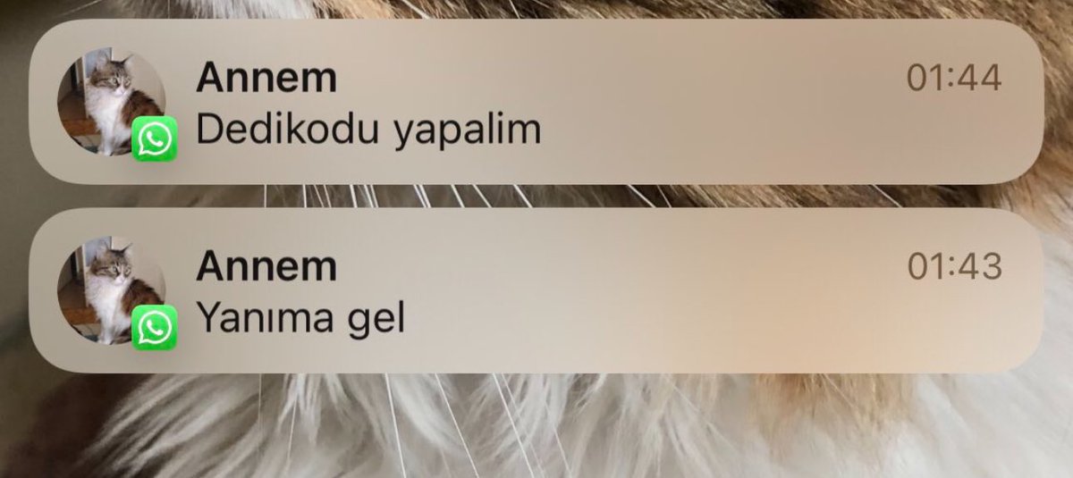 bazı teklifler vardır reddemezsiniz